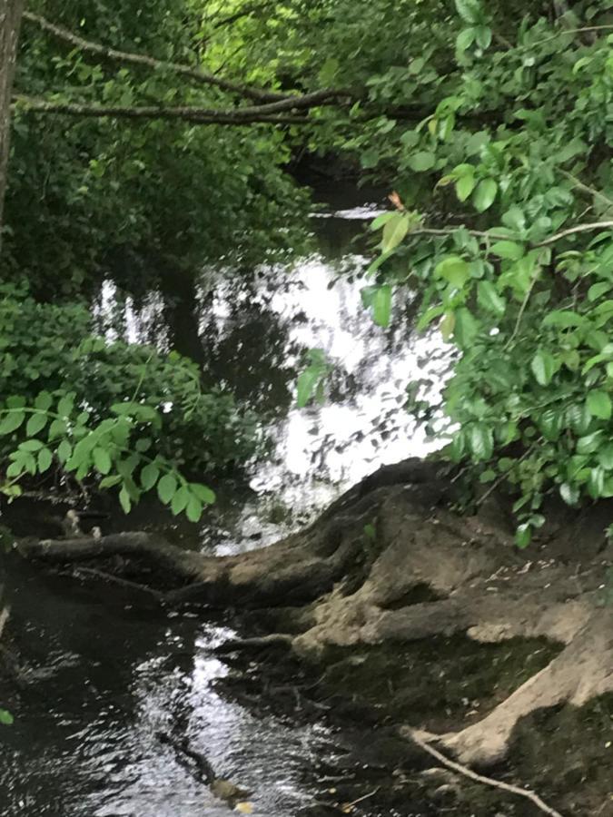 Reveil Aux Chants Des Oiseaux Asse-le-Riboul Exterior foto