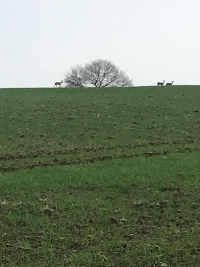 Reveil Aux Chants Des Oiseaux Asse-le-Riboul Exterior foto